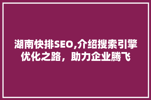 湖南快排SEO,介绍搜索引擎优化之路，助力企业腾飞