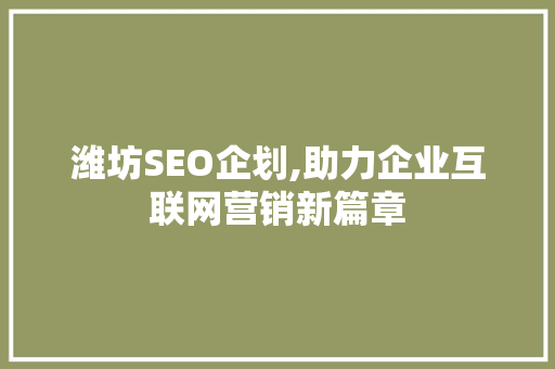 潍坊SEO企划,助力企业互联网营销新篇章