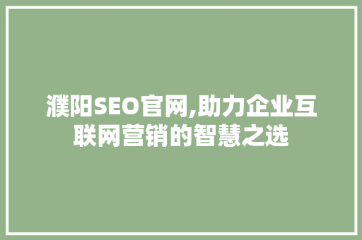 濮阳SEO官网,助力企业互联网营销的智慧之选