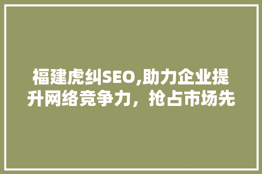 福建虎纠SEO,助力企业提升网络竞争力，抢占市场先机