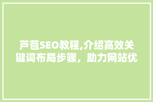 芦苞SEO教程,介绍高效关键词布局步骤，助力网站优化