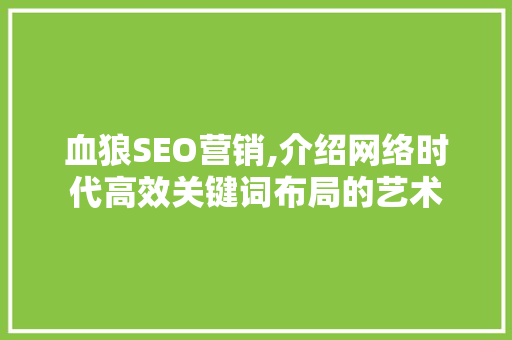 血狼SEO营销,介绍网络时代高效关键词布局的艺术