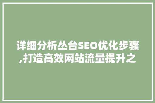 详细分析丛台SEO优化步骤,打造高效网站流量提升之路