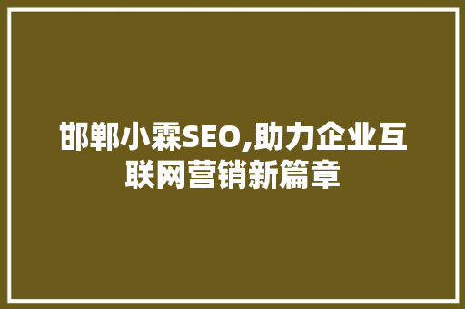 邯郸小霖SEO,助力企业互联网营销新篇章
