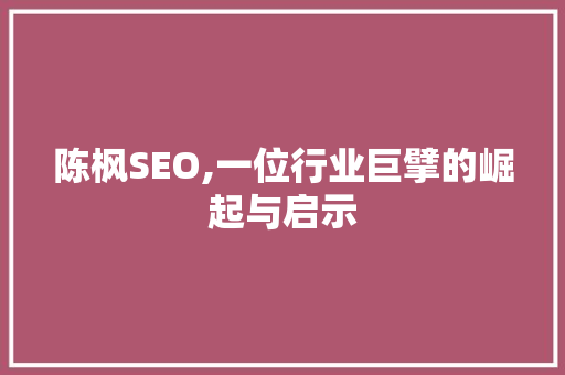 陈枫SEO,一位行业巨擘的崛起与启示