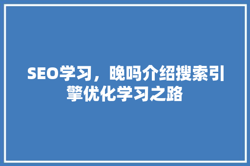 SEO学习，晚吗介绍搜索引擎优化学习之路