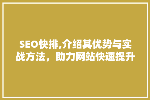 SEO快排,介绍其优势与实战方法，助力网站快速提升排名