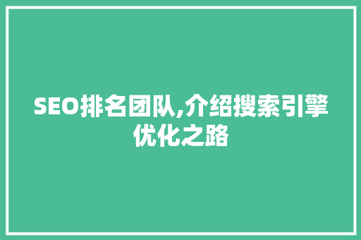 SEO排名团队,介绍搜索引擎优化之路