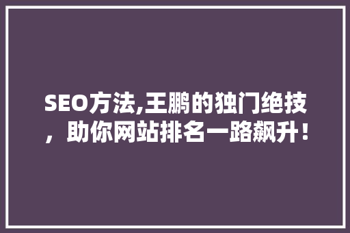 SEO方法,王鹏的独门绝技，助你网站排名一路飙升！