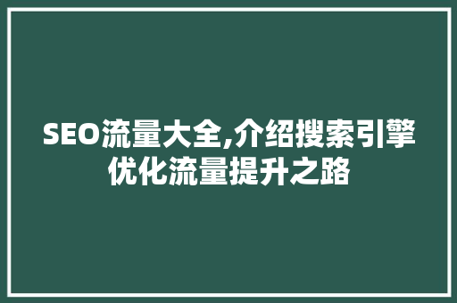 SEO流量大全,介绍搜索引擎优化流量提升之路