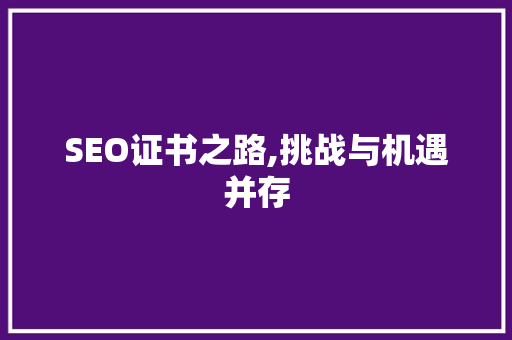 SEO证书之路,挑战与机遇并存