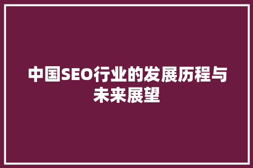 中国SEO行业的发展历程与未来展望