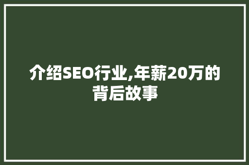 介绍SEO行业,年薪20万的背后故事
