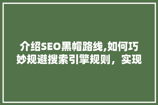 介绍SEO黑帽路线,如何巧妙规避搜索引擎规则，实现网站快速排名