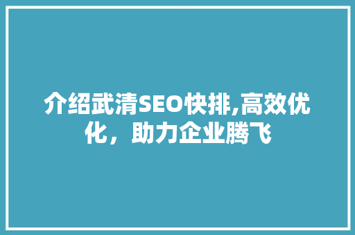 介绍武清SEO快排,高效优化，助力企业腾飞
