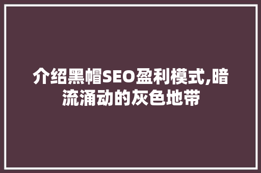介绍黑帽SEO盈利模式,暗流涌动的灰色地带