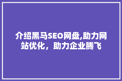 介绍黑马SEO网盘,助力网站优化，助力企业腾飞
