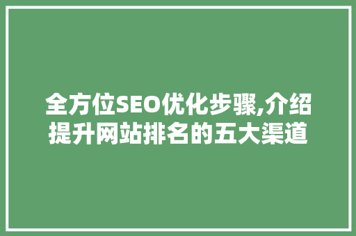 全方位SEO优化步骤,介绍提升网站排名的五大渠道