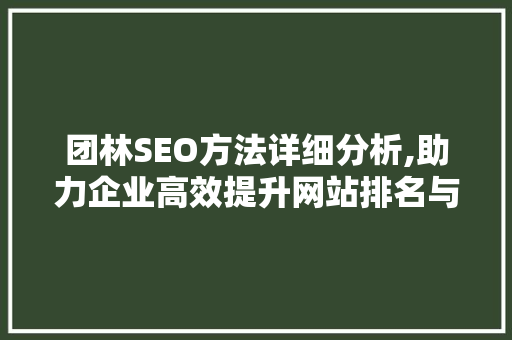 团林SEO方法详细分析,助力企业高效提升网站排名与流量