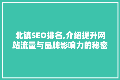 北镇SEO排名,介绍提升网站流量与品牌影响力的秘密武器