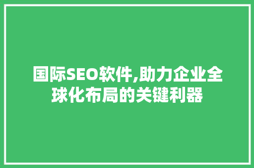 国际SEO软件,助力企业全球化布局的关键利器