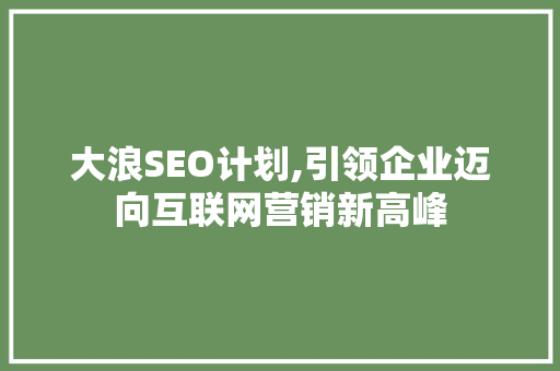 大浪SEO计划,引领企业迈向互联网营销新高峰