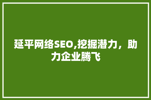 延平网络SEO,挖掘潜力，助力企业腾飞