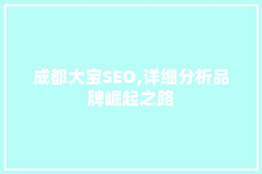 成都大宝SEO,详细分析品牌崛起之路