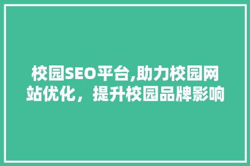 校园SEO平台,助力校园网站优化，提升校园品牌影响力