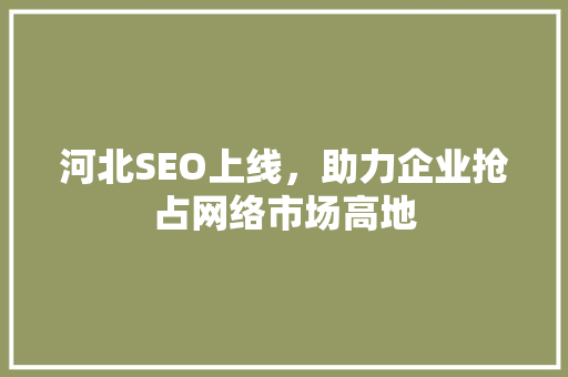 河北SEO上线，助力企业抢占网络市场高地