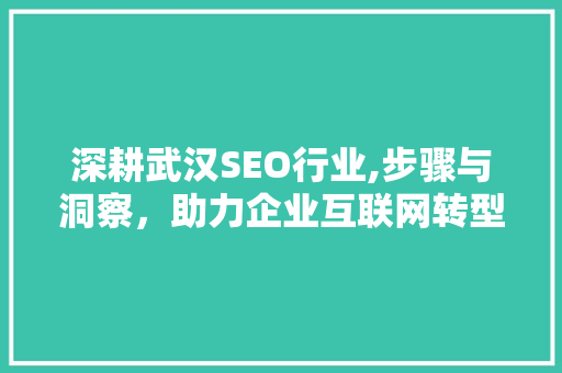 深耕武汉SEO行业,步骤与洞察，助力企业互联网转型