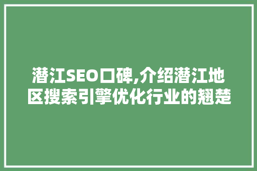 潜江SEO口碑,介绍潜江地区搜索引擎优化行业的翘楚