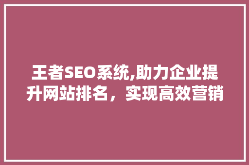 王者SEO系统,助力企业提升网站排名，实现高效营销