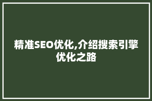 精准SEO优化,介绍搜索引擎优化之路