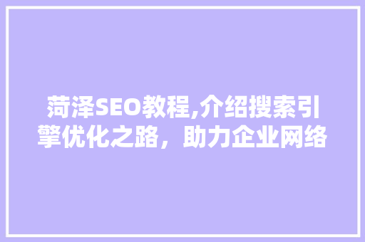 菏泽SEO教程,介绍搜索引擎优化之路，助力企业网络营销腾飞