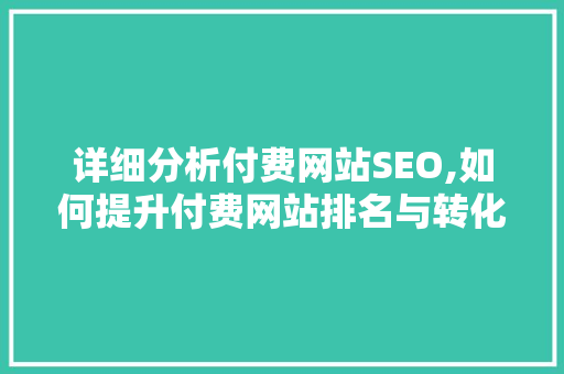 详细分析付费网站SEO,如何提升付费网站排名与转化率