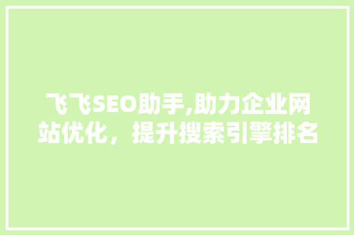 飞飞SEO助手,助力企业网站优化，提升搜索引擎排名