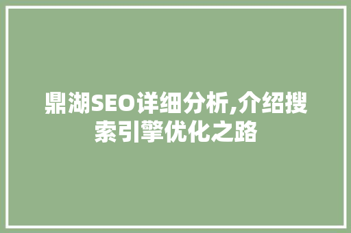 鼎湖SEO详细分析,介绍搜索引擎优化之路