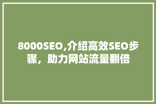 8000SEO,介绍高效SEO步骤，助力网站流量翻倍