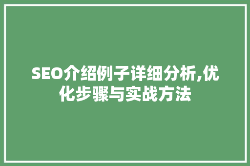 SEO介绍例子详细分析,优化步骤与实战方法