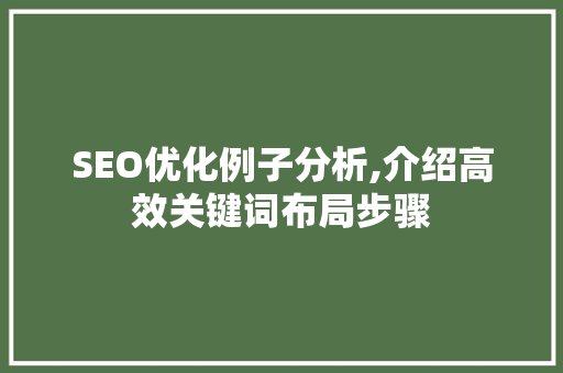 SEO优化例子分析,介绍高效关键词布局步骤