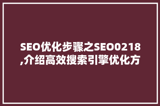 SEO优化步骤之SEO0218,介绍高效搜索引擎优化方法