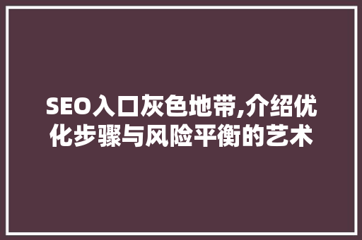 SEO入口灰色地带,介绍优化步骤与风险平衡的艺术