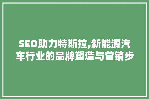 SEO助力特斯拉,新能源汽车行业的品牌塑造与营销步骤