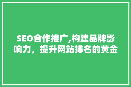 SEO合作推广,构建品牌影响力，提升网站排名的黄金步骤