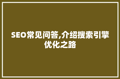 SEO常见问答,介绍搜索引擎优化之路