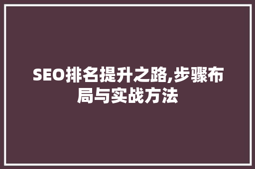 SEO排名提升之路,步骤布局与实战方法
