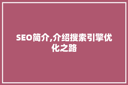 SEO简介,介绍搜索引擎优化之路