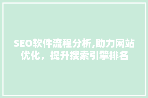 SEO软件流程分析,助力网站优化，提升搜索引擎排名