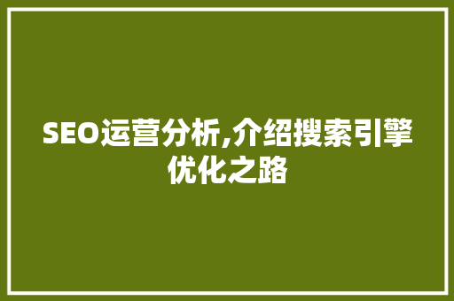 SEO运营分析,介绍搜索引擎优化之路